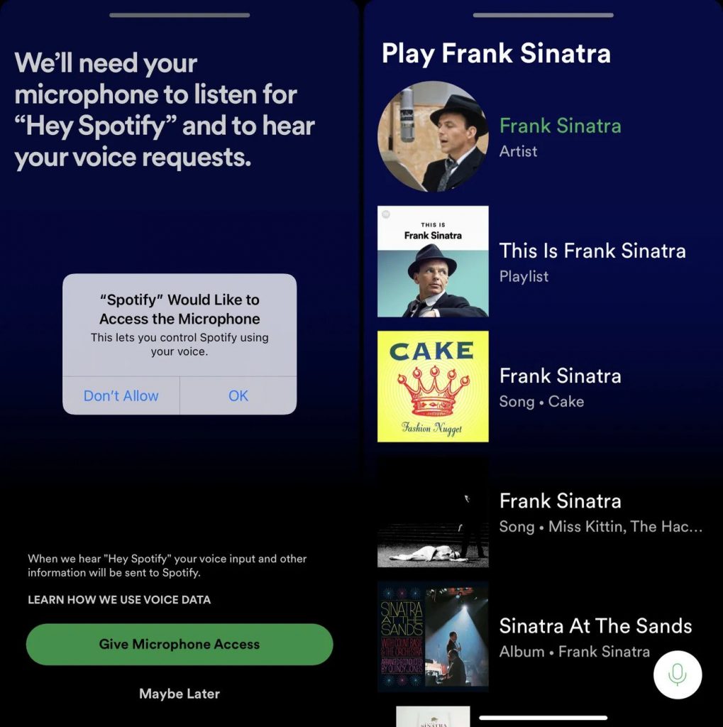 'Hey spotify' for podcasts and music